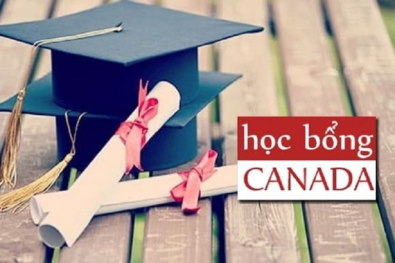 Các loại học bổng ngành Y của trường tại Canada