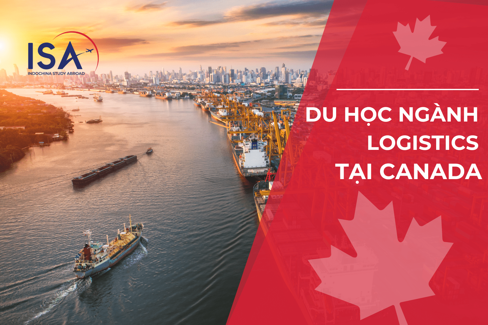 du-hoc-nganh-logistics-tai-canada-chinh-phuc-chuoi-cung-ung-toan-cau